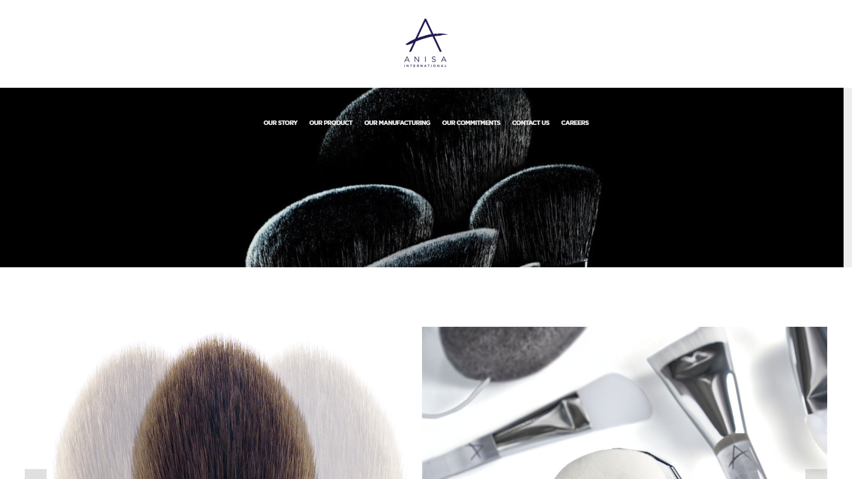 Anisa International - Cosmetic Brush Manufacturer