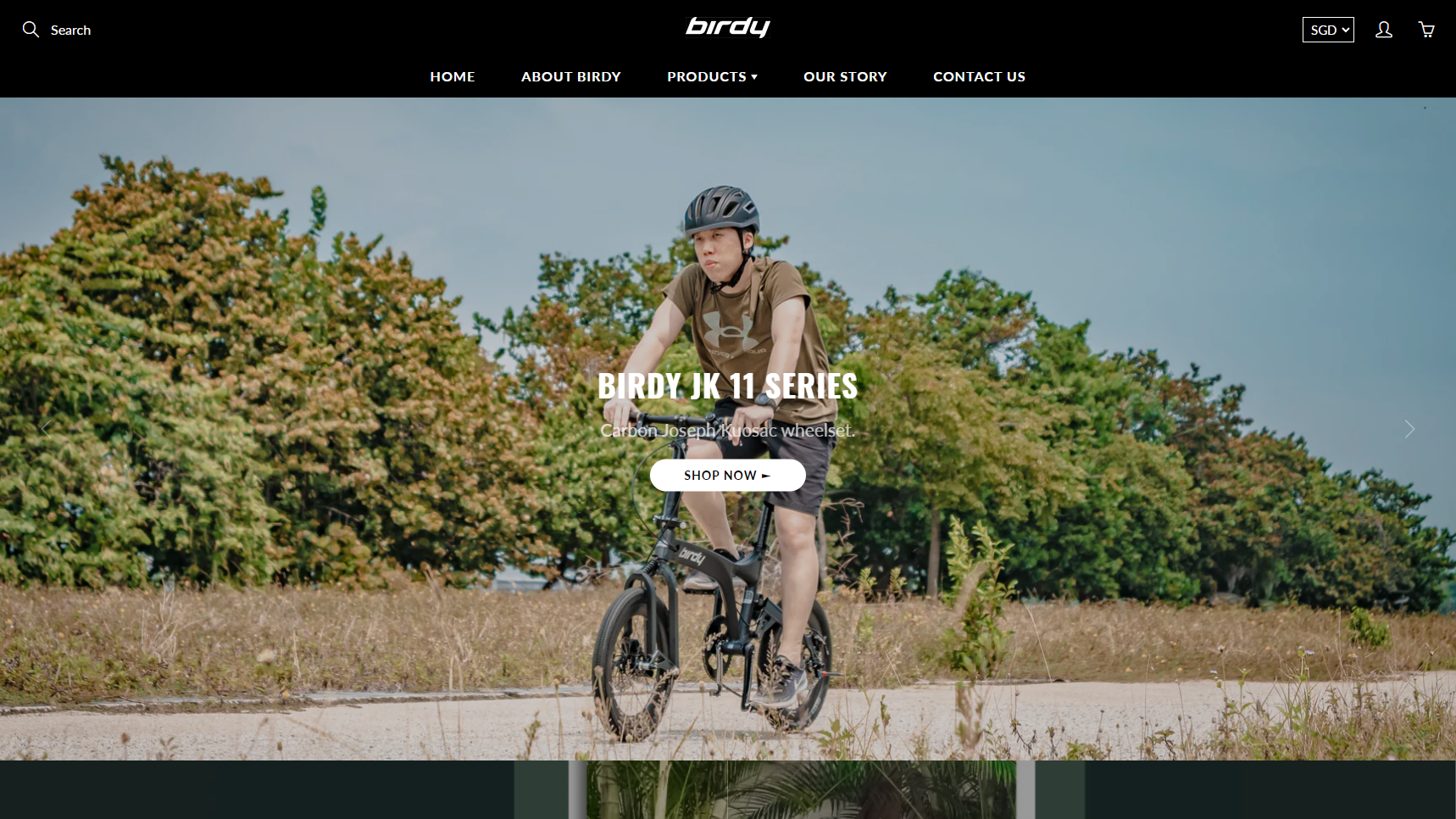 Birdy Bicycle - Folding Bike Manufacturer