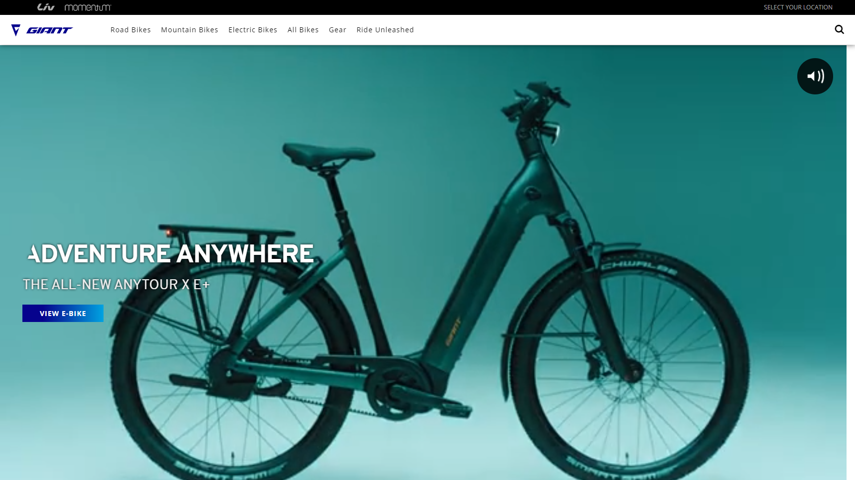 Giant Bicycles - E-Bike Manufacturer