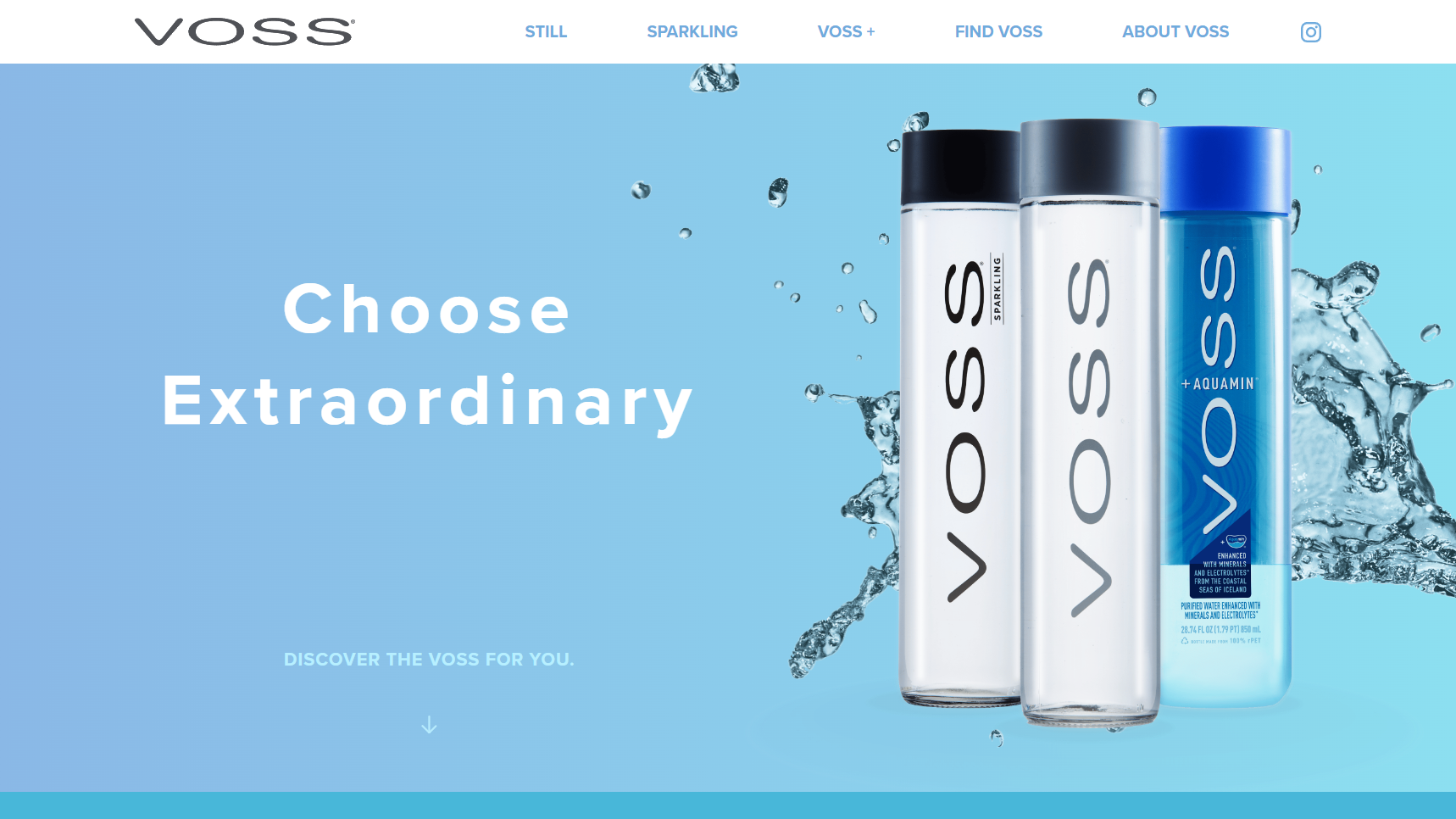 Voss Water - Flavored Water Manufacturer
